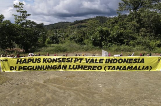 Transparent "Entzug der Konzession von PT Vale Indonesia im Lumereo Gebirge (Tanamalia)"