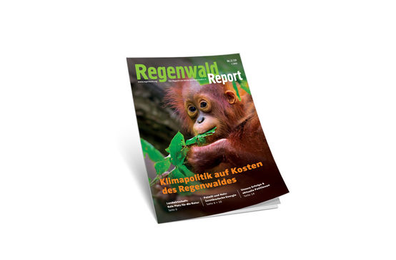 3D-Ansicht des Covers vom Regenwald Report 2/19