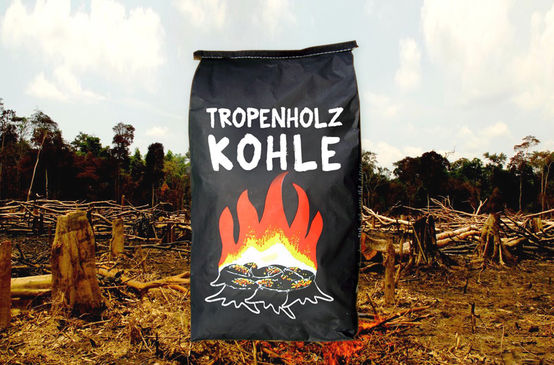 Collage aus Beutel mit Holzkohle auf abgebranntem Regenwald