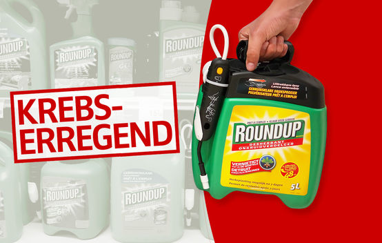 Monsanto Roundup Krebserregend