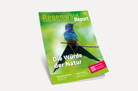 3D-Ansicht des Covers vom Regenwald Report 1/21