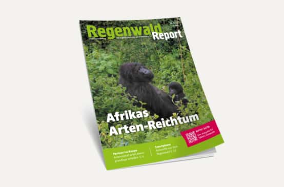 3D-Ansicht des Covers vom Regenwald Report 1/22
