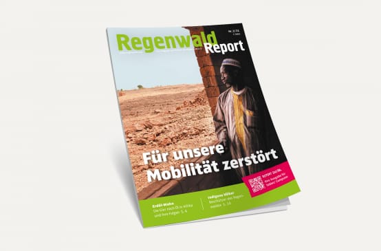 3D-Ansicht des Covers vom Regenwald Report 2/21