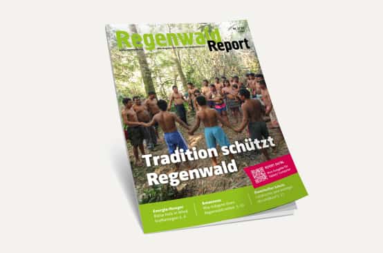 3D-Ansicht des Covers vom Regenwald Report 2/22