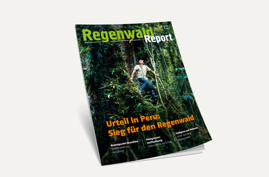 3D-Ansicht des Covers vom Regenwald Report 3/19