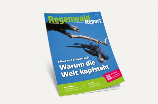3D-Ansicht des Covers vom Regenwald Report 3/21