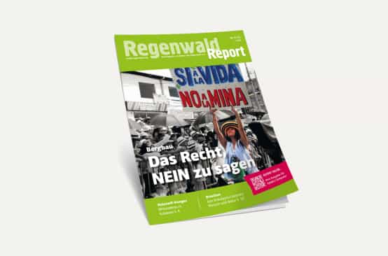 3D-Ansicht des Covers vom Regenwald Report 3/22