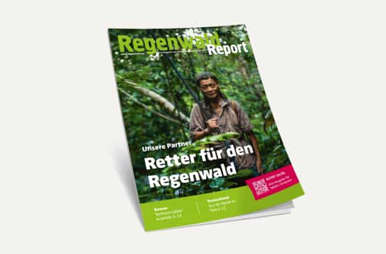 3D-Ansicht des Covers vom Regenwald Report 4/21