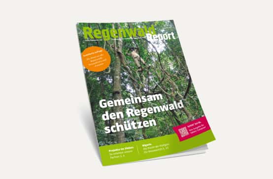 3D-Ansicht des Covers vom Regenwald Report 4/22