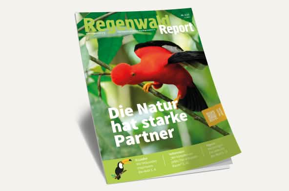 Titel Regenwald Report Nr.4 2025