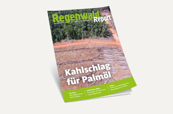 3D-Ansicht des Covers vom Regenwald Report 2/20