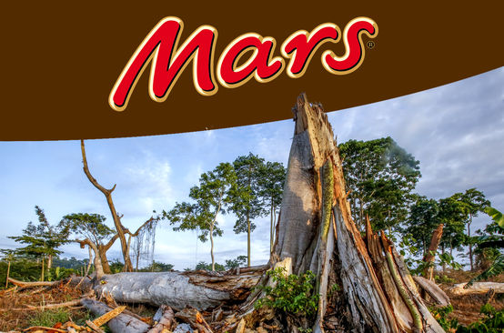 Montage: Rodung von Regenwald + Mars Logo