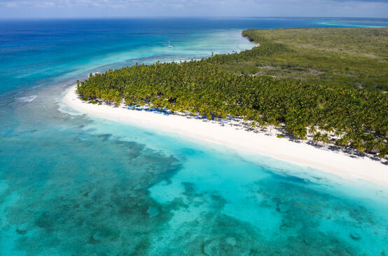 Luftaufnahme von tropischen Insel Saona mit Kokospalmen und türkisfarbenem karibischen Meer