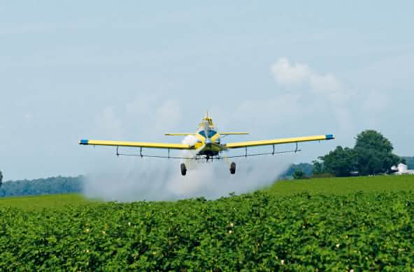 Ein Sprühflugzeug nebelt ein Sojafeld mit Pestiziden ein