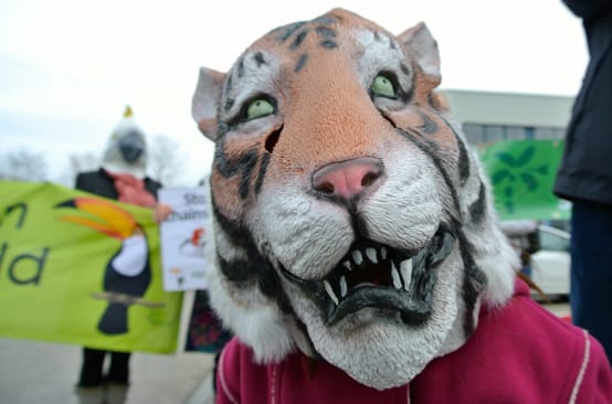 Tigermaske auf RdR-Demo