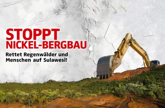 Fotocollage Bagger, Mine, Waldschäden
