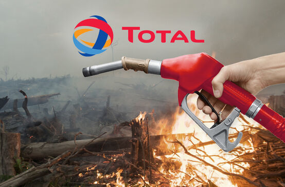 Collage - Total Brandrodung für Palmöl
