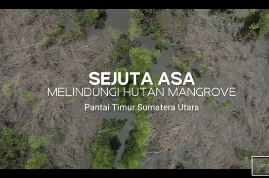 Titel des Videos Sejuta Asa