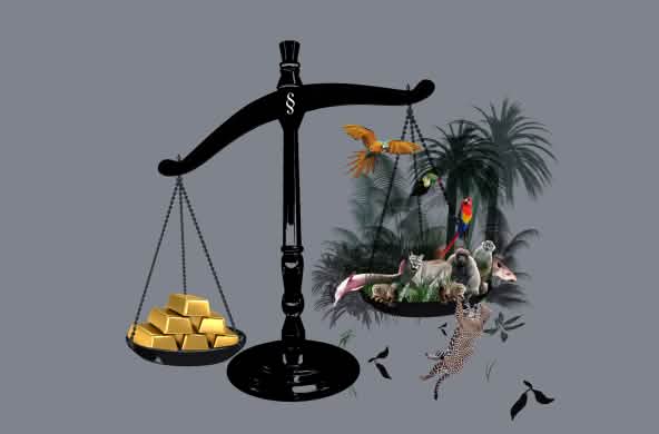 Waage mit Gold und Regenwald