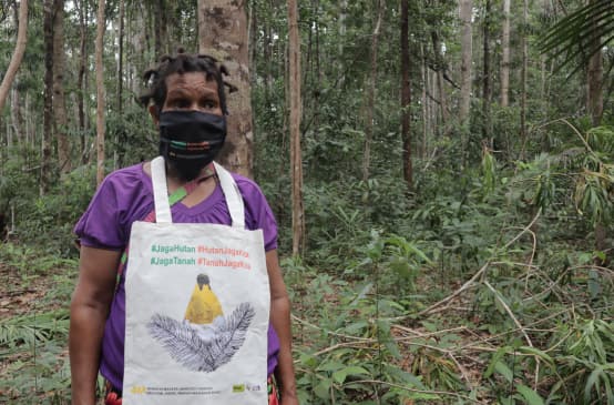 Protest in Papua: Schütze den Wald - der Wald schützt uns