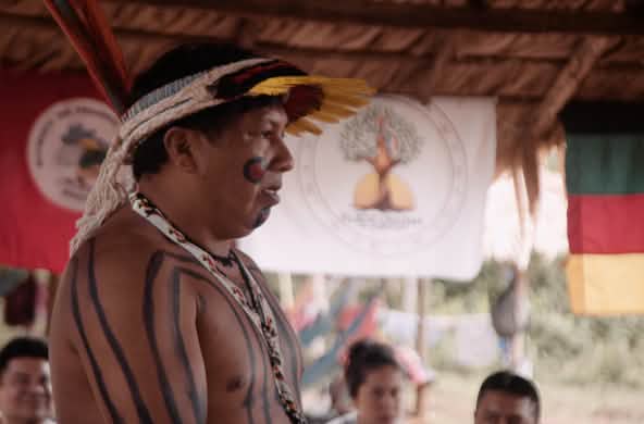 Ithau Ka'apor, Profil