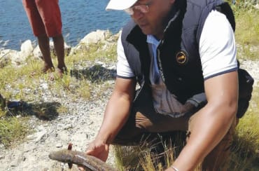 Fischsterben bei Titandioxidmine, Madagaskar