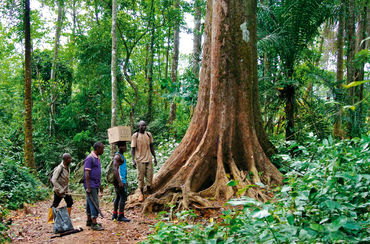 Eco Guards im Regenwald