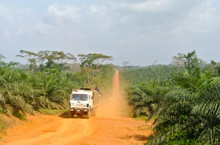 Ein Lkw fährt durch eine Palmöl-Plantage in Liberia