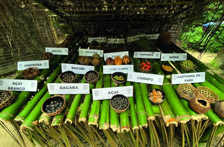 Nahrungsmittel der Völker