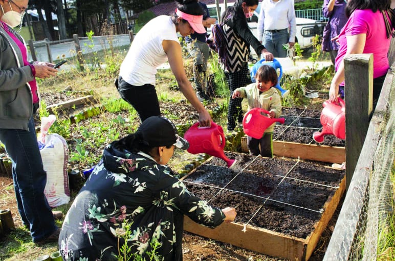 Gemüsegarten in San Cristobal