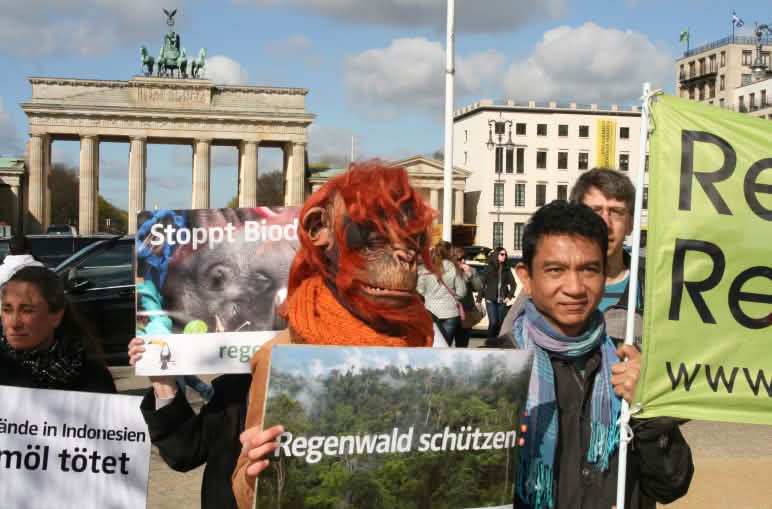 Aktion mit Transparent und Orang-Utan Kostüm gegen Biodiesel vor dem Bandenburger Tor