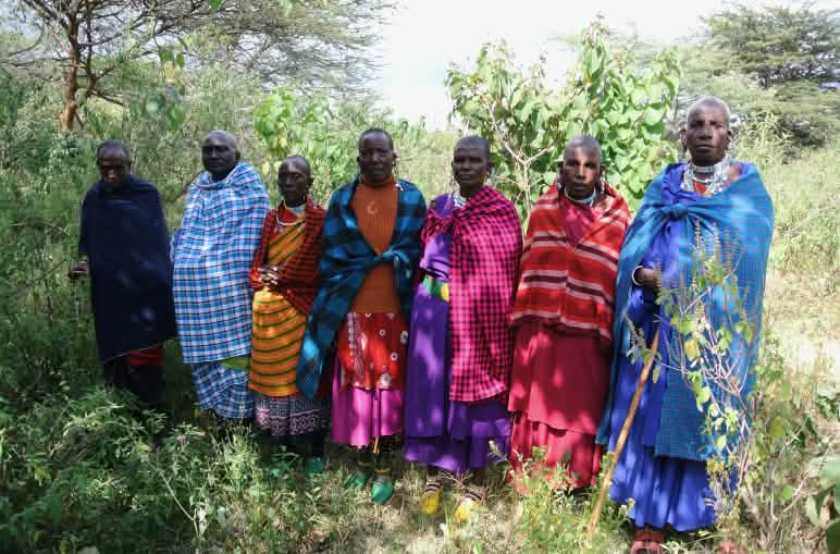 Gruppe von Massai