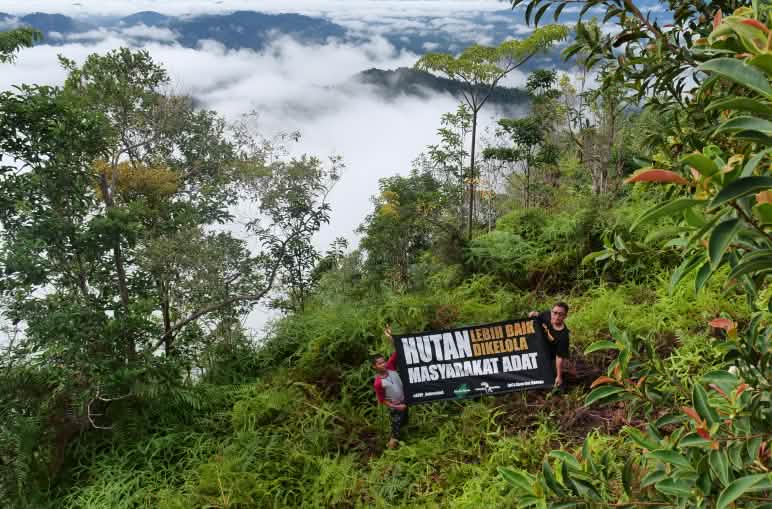 SOB-Plakat-Aktion zur Rettung des Regenwaldes auf Borneo