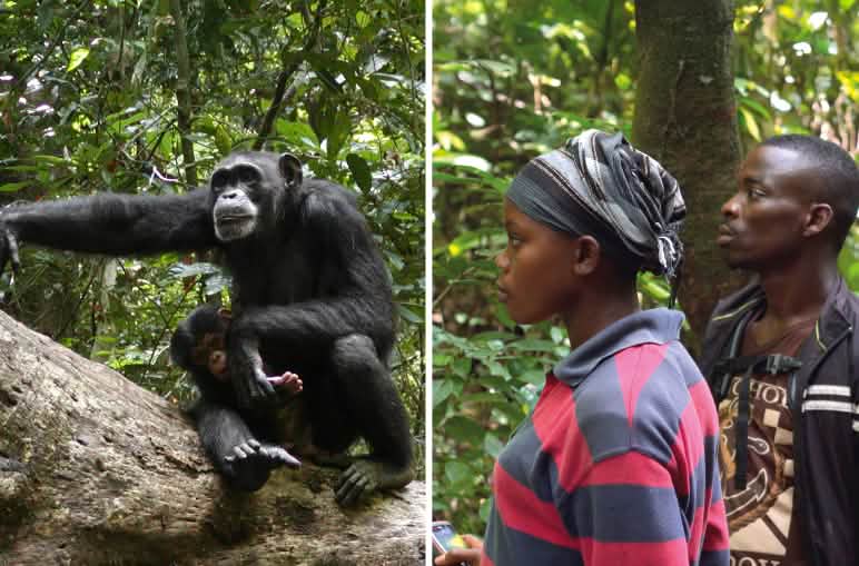 Report 4-25 - Collage Starke Partner Liberia