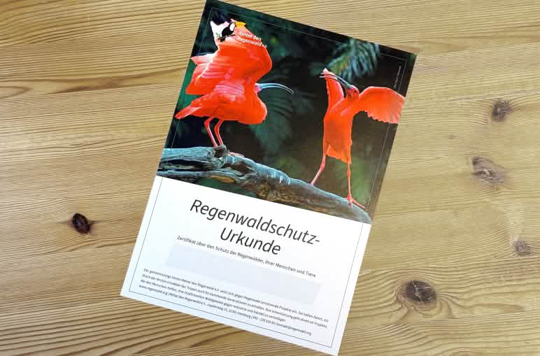 Zwei Scharlach-Ibis-Flügel auf