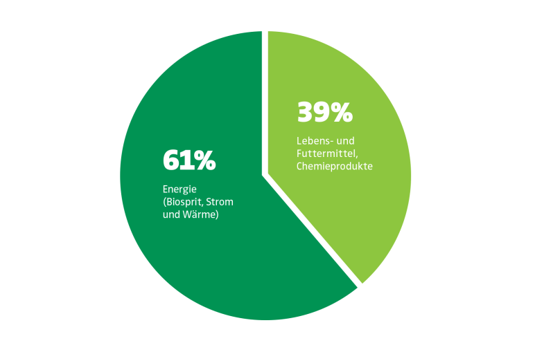 Verbrauch von Palmöl in der EU (2017)