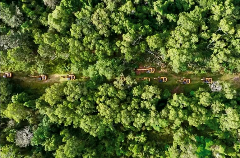 Drohnenfoto von langer Reihe Bagger durch Regenwald