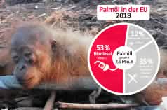 Collage - Palmölverwendung EU 2018 mit Gefesseltes Orang-Utan-Baby - DE