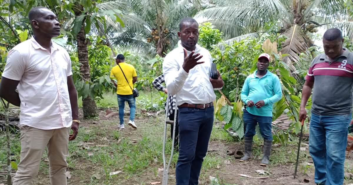 Palmöl in Ecuador - Gemeinde wehrt sich gegen Landraub und Rassismus Palmöl in Ecuador - Gemeinde wehrt sich gegen Landraub und Rassismus