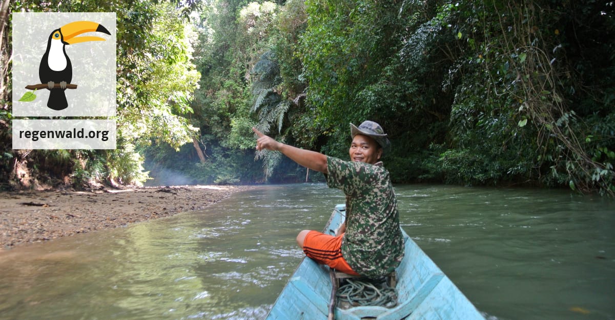 Iban Indianer fordern: Kein Holzeinschlag an den Flüssen auf Borneo