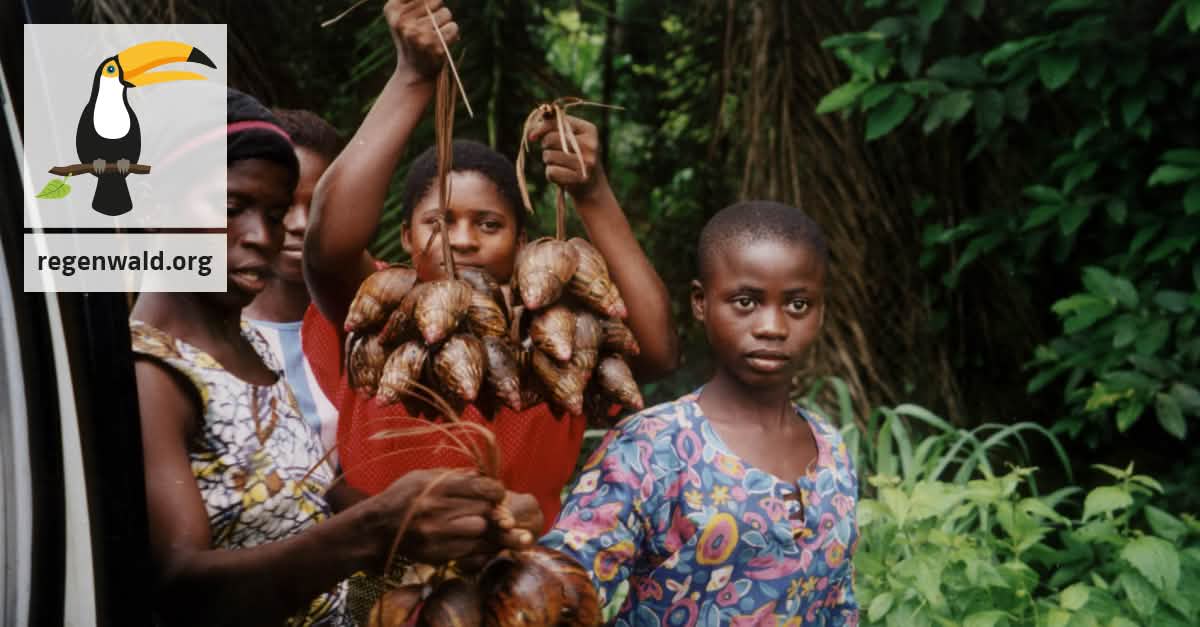 Wir werden unsere Mutter Erde verteidigen!