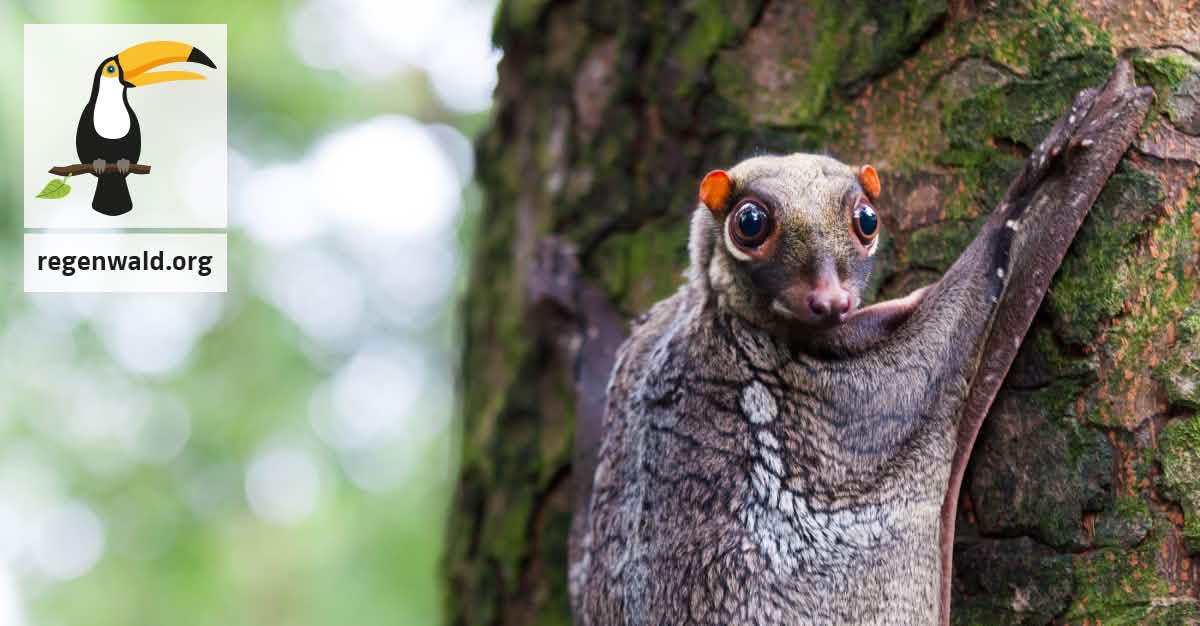 Unilever - Kahlschlag für Tütensuppen Unilever - Kahlschlag für Tütensuppen