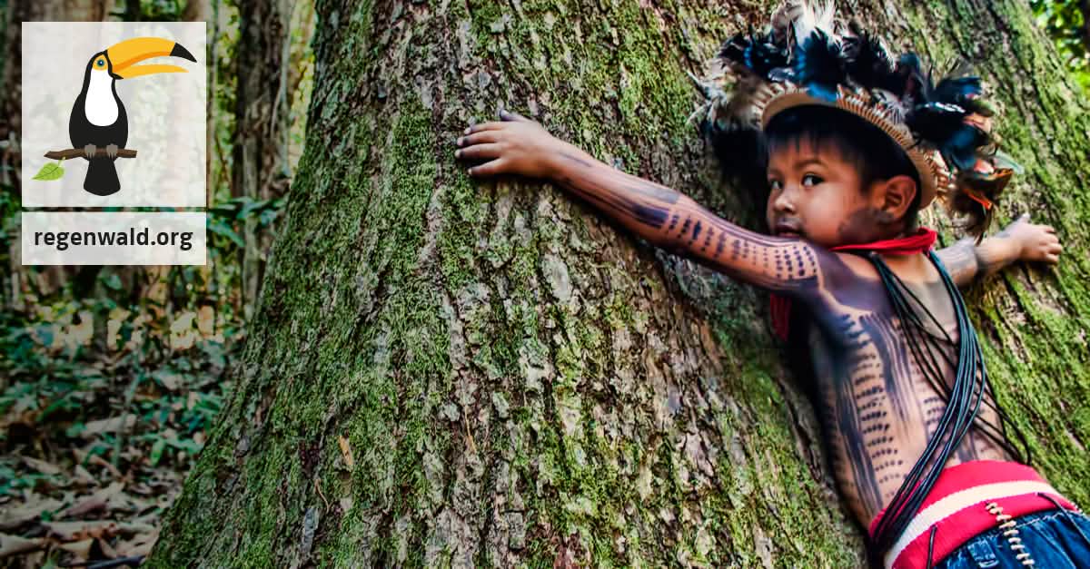 Bulldozer raus aus unserem Regenwald