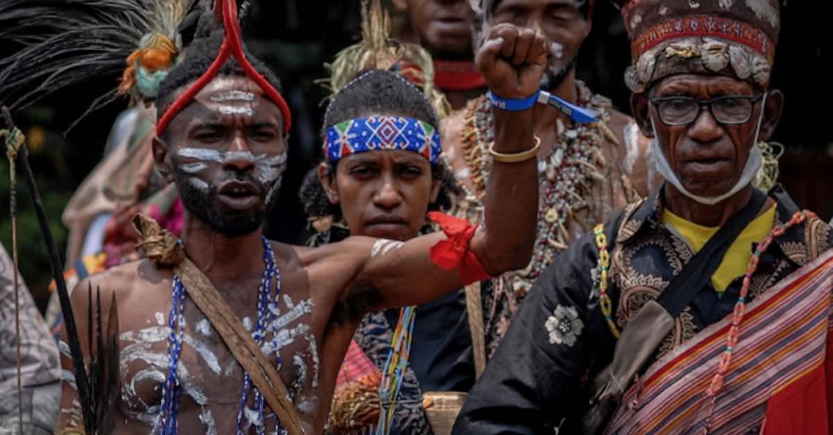 Stoppt den Kahlschlag im Wald der Marind!