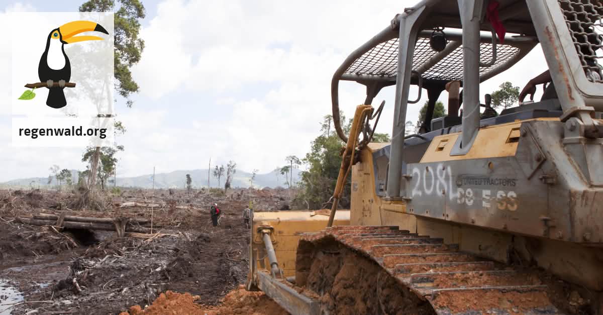 Werft die Bulldozer aus dem Torfwald von Sungai Putri Werft die Bulldozer aus dem Torfwald von Sungai Putri