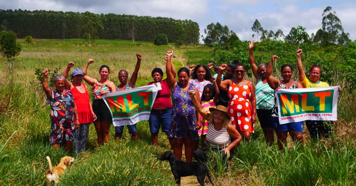 Brasilien: Wir wollen fruchtbares Land statt Holzplantagen!