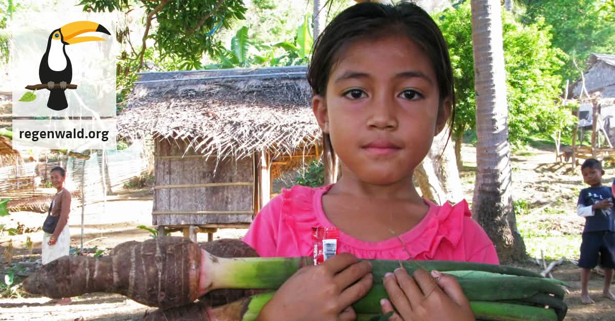 Wir brauchen unser Land – keine Ölpalmen! Wir brauchen unser Land – keine Ölpalmen!