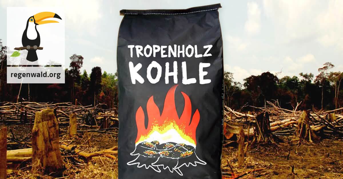Holzkohle Auf Dem Grill Geht Der Tropenwald In Flammen Auf Rettet Den Regenwald E V