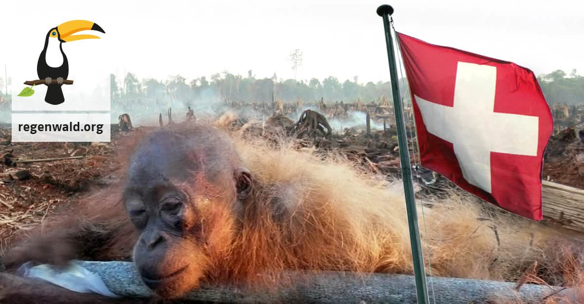 GANZ DRINGEND: Kein Freihandel mit Palmöl!