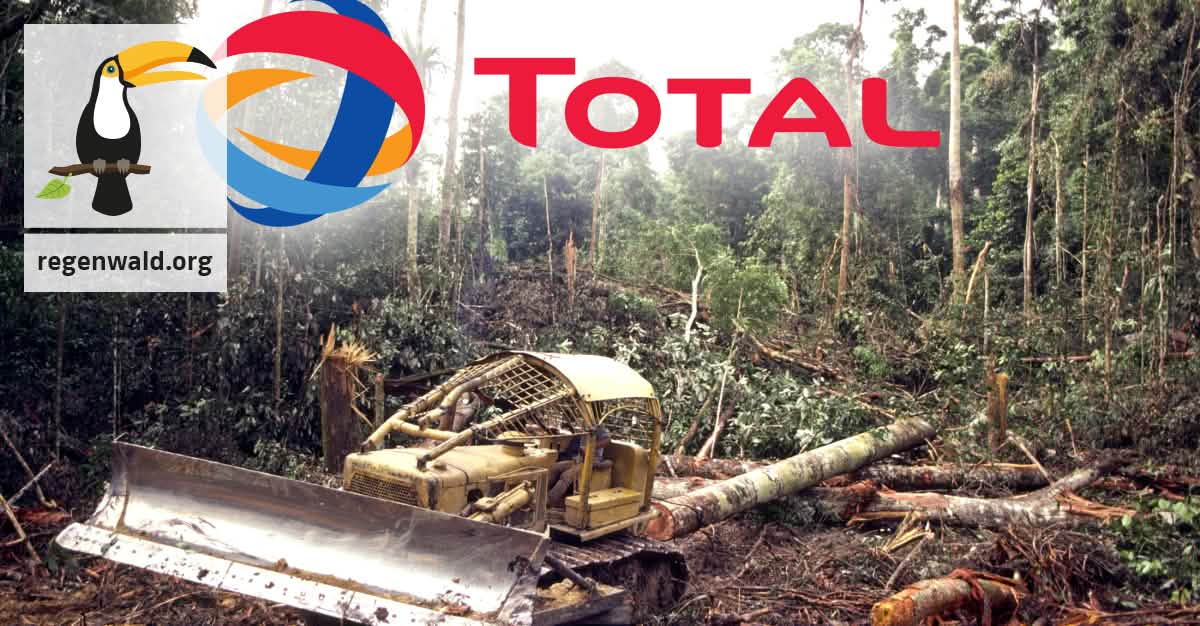 Regenwald für Biosprit abholzen? TOTAL verkehrt!